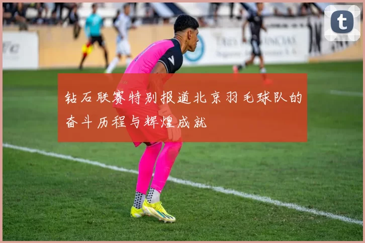 钻石联赛特别报道北京羽毛球队的奋斗历程与辉煌成就