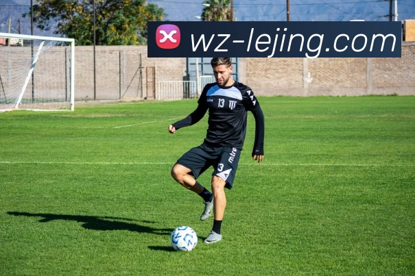 乐竞体育平台生态图